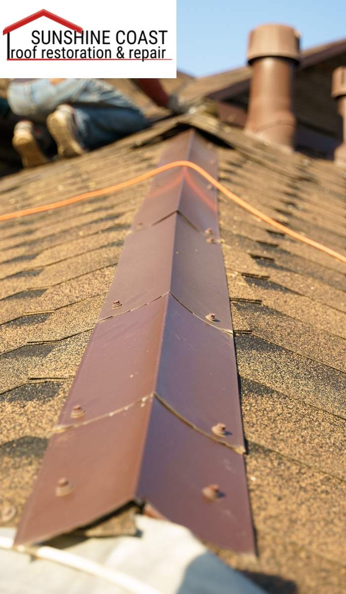 Roof Painting: Beyond Aesthetic Enhancements