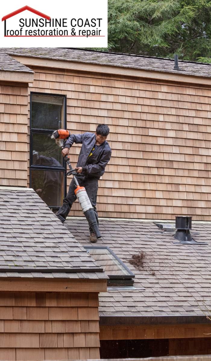 How can I prevent roof damage in the future?